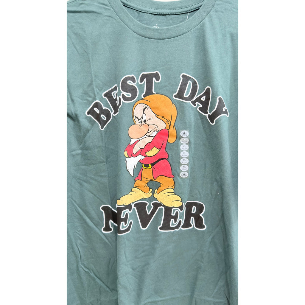 NWT Disney Grumpy Dwarf "Best Day Never" Graphic Tee - XL