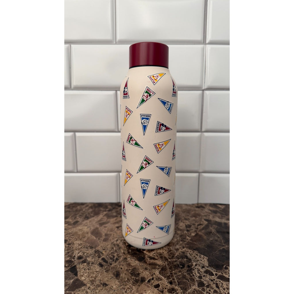 Disney Parks Mickey Mouse & Friends Pennant 21oz Water Bottle – NEW