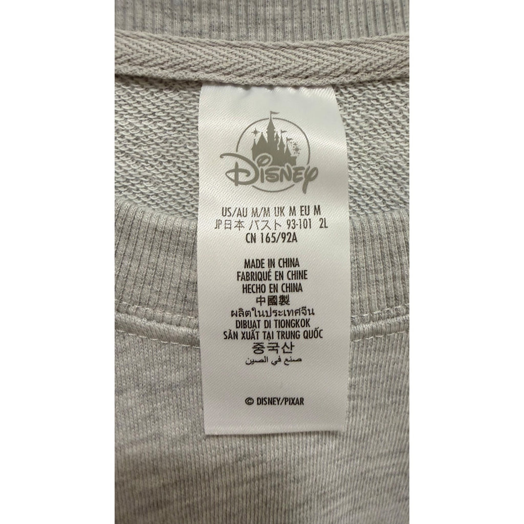 Disney Parks Walt Disney World Inside Out Park Logo Pullover - Adult Medium