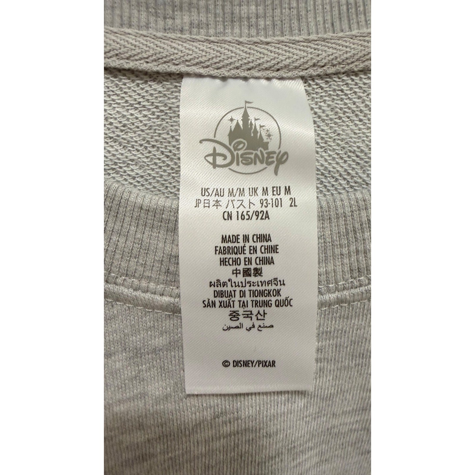 Disney Parks Walt Disney World Inside Out Park Logo Pullover - Adult Medium