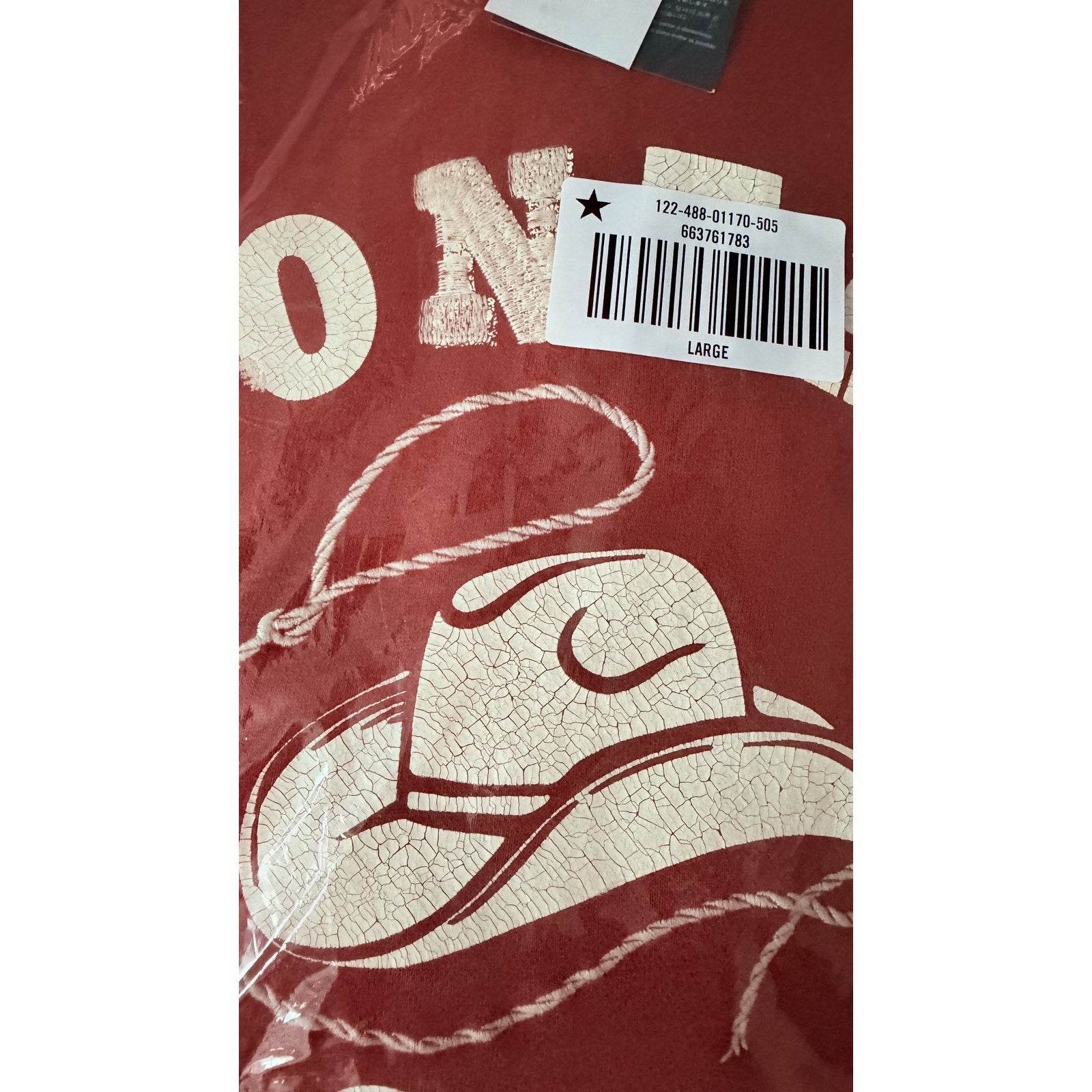 Abercrombie & Fitch Montana Rodeo Graphic Popover Hoodie – Men's Large NWT