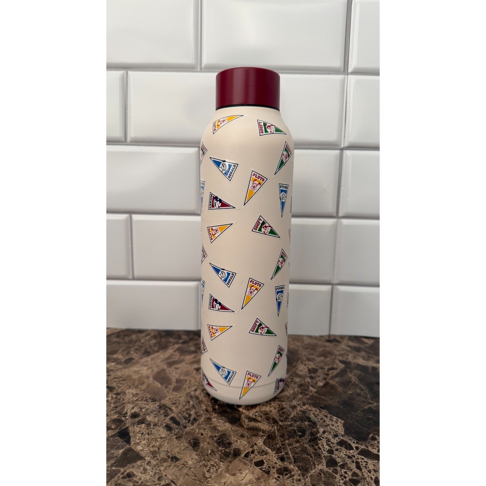 Disney Parks Mickey Mouse & Friends Pennant 21oz Water Bottle – NEW