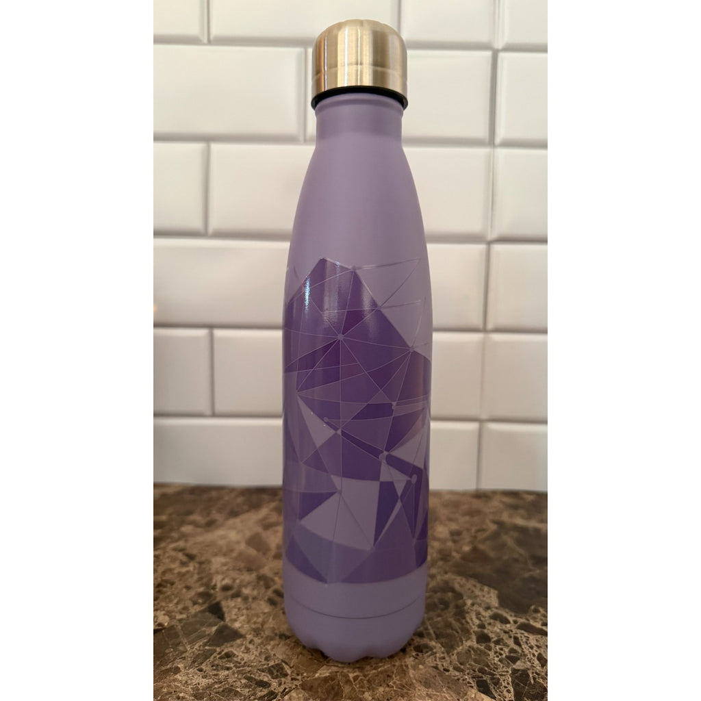 Disney Parks Tomorrowland "Purple Wall" Stainless Steel Water Bottle - Imperfect