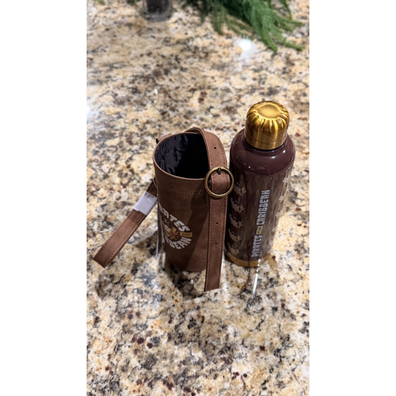 NEW Disney Parks Pirates of the Caribbean Stainless Steel Bottle & Carrier
