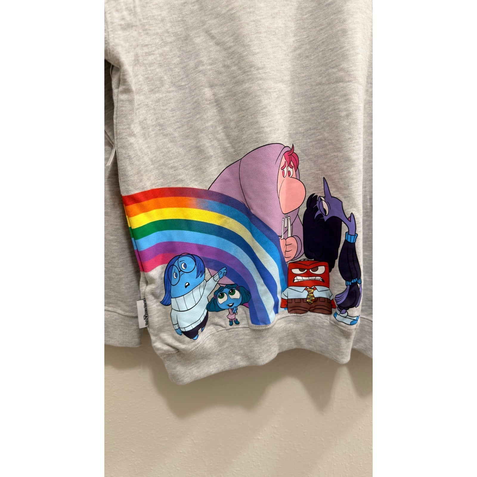 Disney Parks Walt Disney World Inside Out Park Logo Pullover - Adult XL - NWT