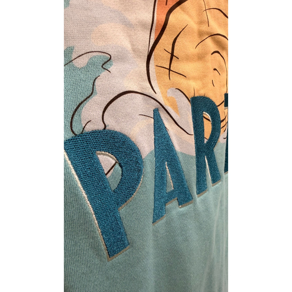 Disney Parks Tiana's Bayou Adventure Blue Zip Up Hoodie Adult Large NWT