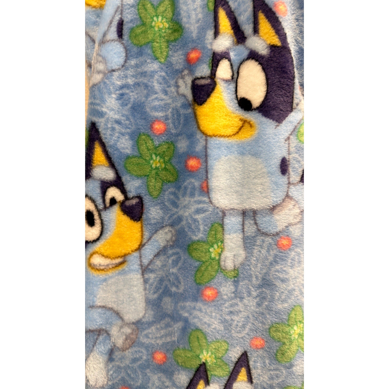 Bluey Silk Touch Throw Blanket 50x70 NWT Ultra Soft Ludo Studio