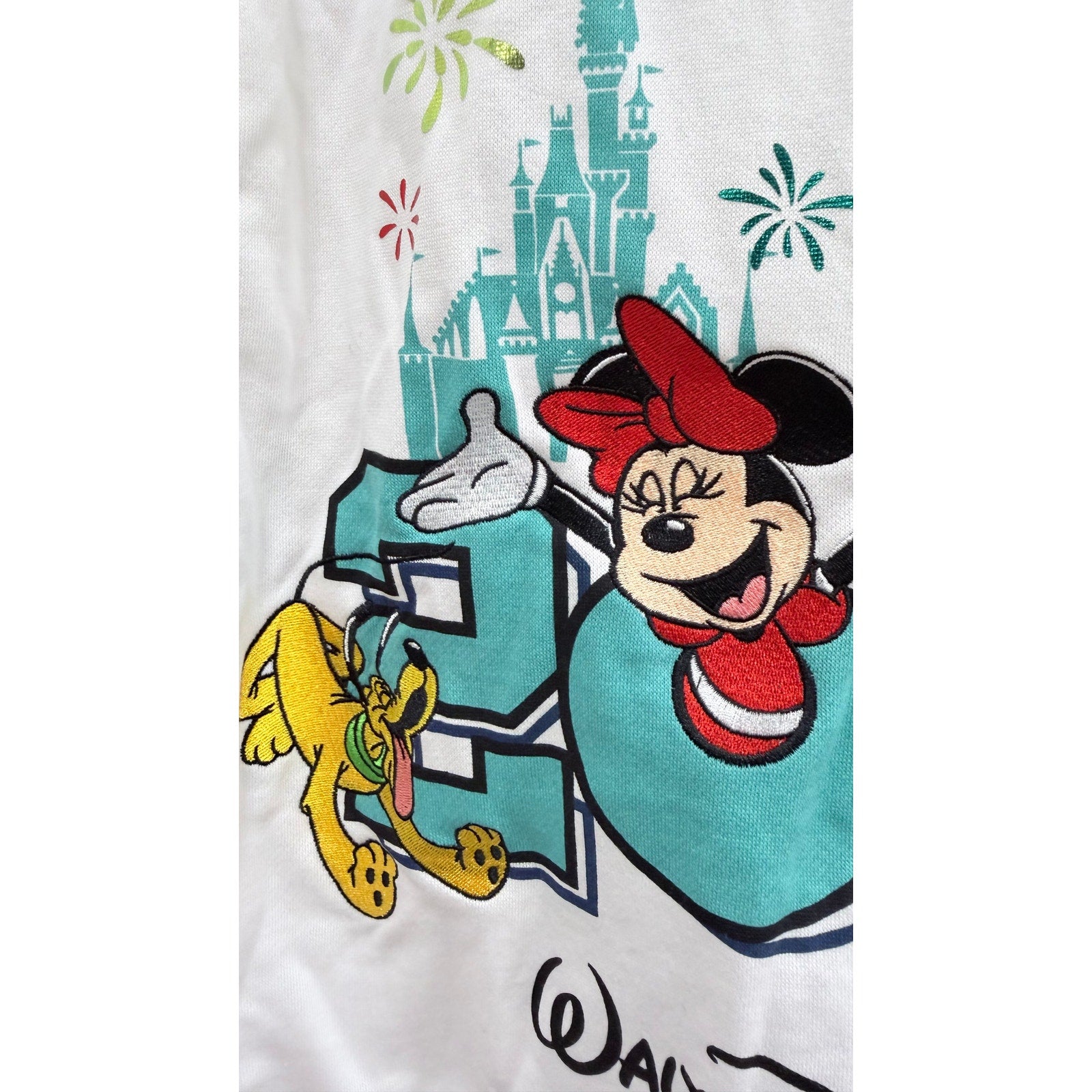 NWT 2025 Walt Disney World Mickey & Friends Zip-Up Hoodie - Women’s Large