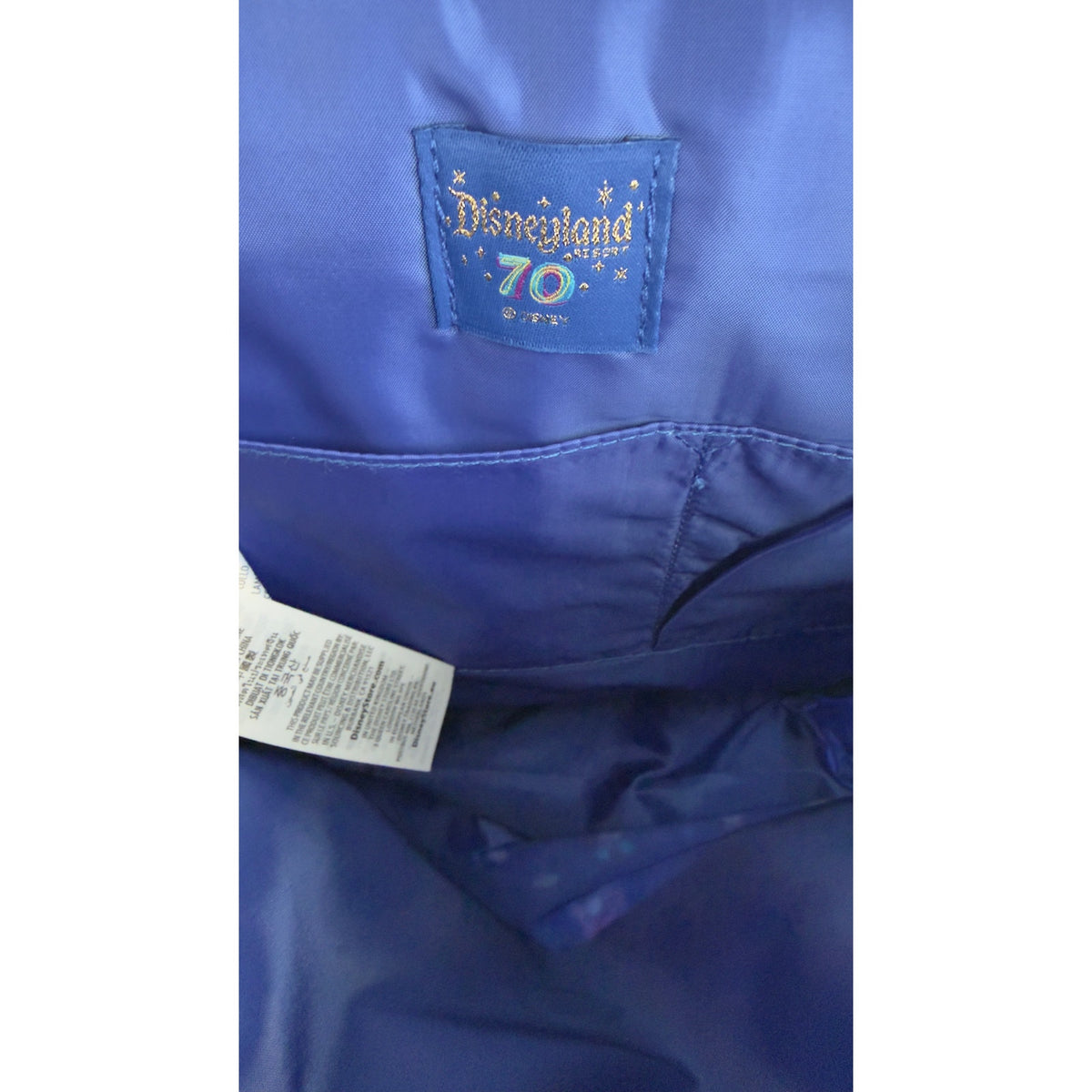 Disneyland 70th Anniversary Celebrate Happy Blue Characters Backpack NWT