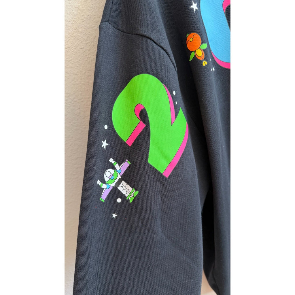 NWT Disney Parks Walt Disney World 2024 Pullover Hoodie Adults Unisex Large