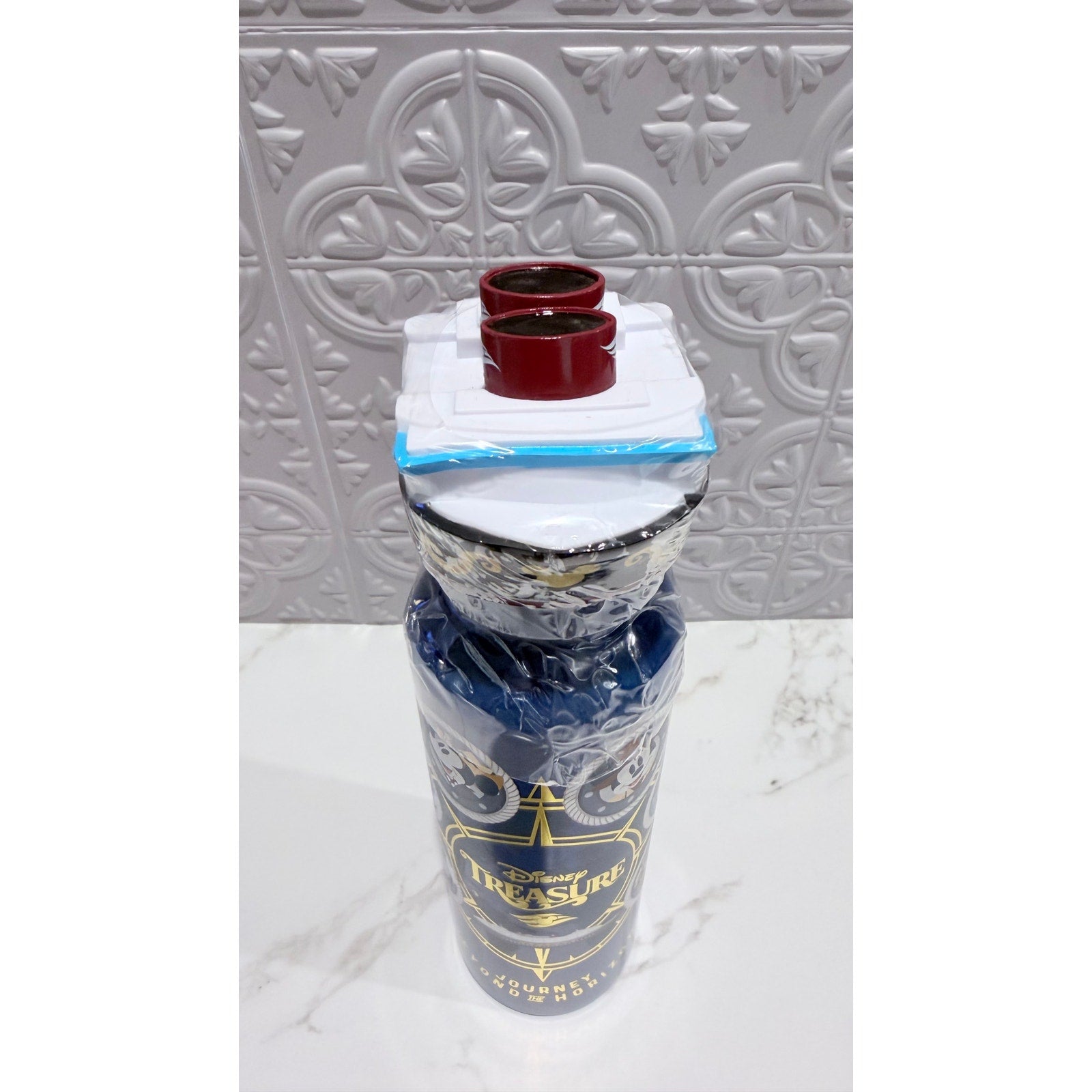 Disney Treasure Cruise Line Mickey & Friends Stainless Water Bottle 19 oz NEW