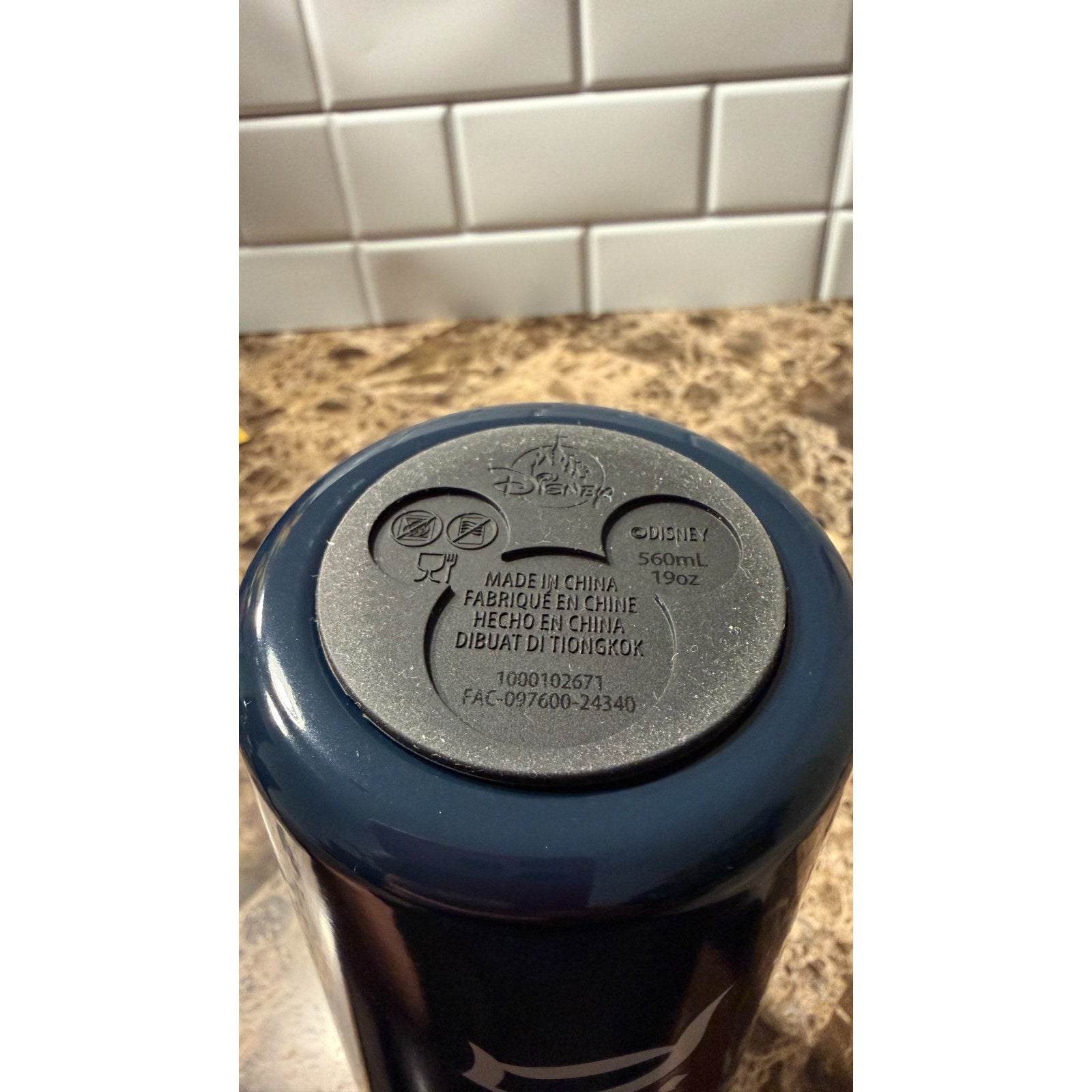 2025 Disneyland "Authentic Original" Stainless Steel Water Bottle - NEW