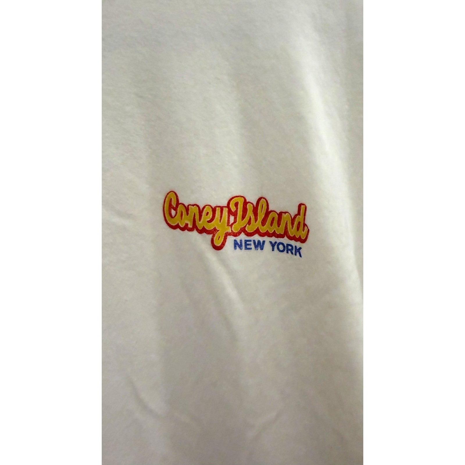 Hollister Men's Boxy Cut Heavyweight Coney Island T-shirt - Large - Preowned