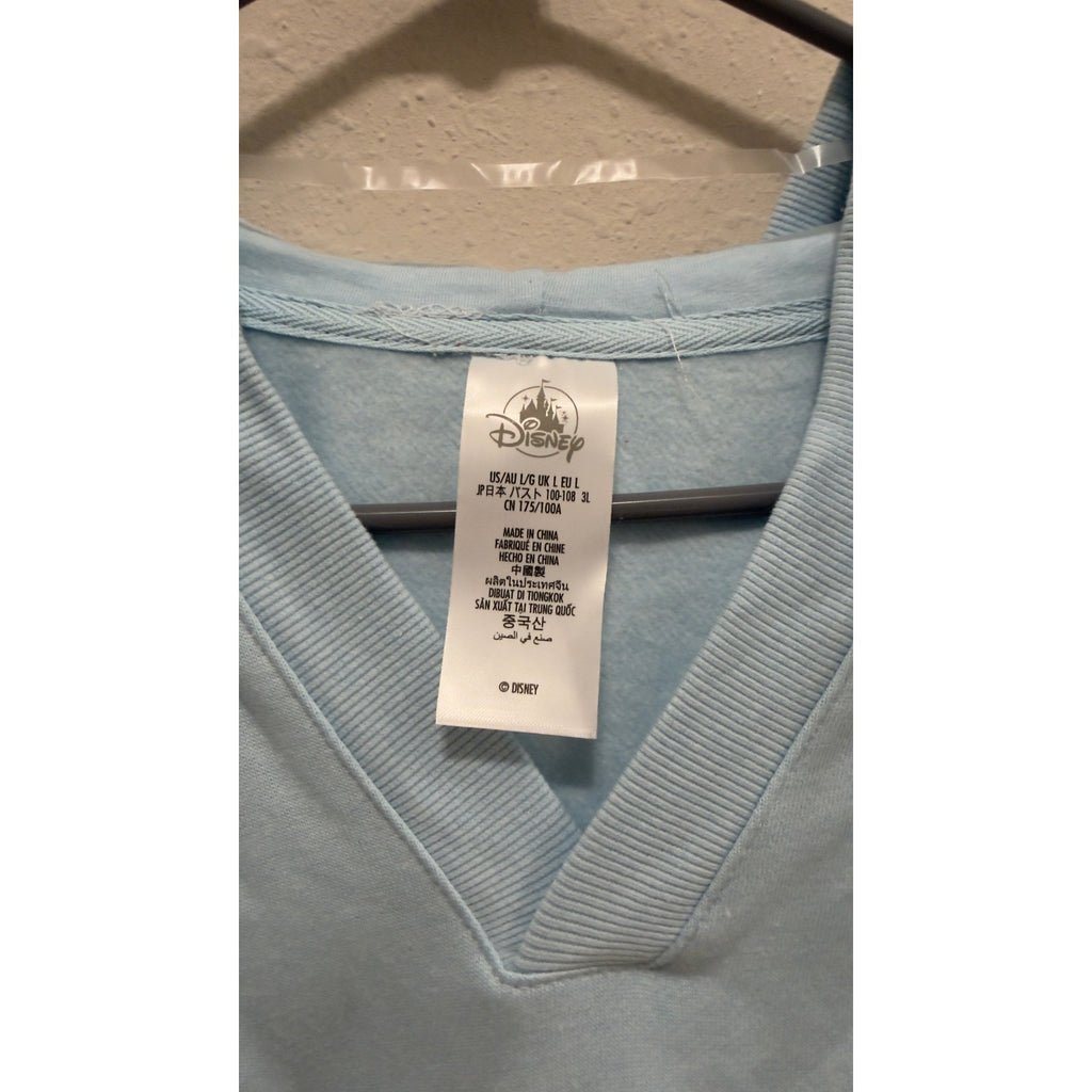Walt Disney World Cinderella Castle V-Neck Pullover Hoodie NWT Large