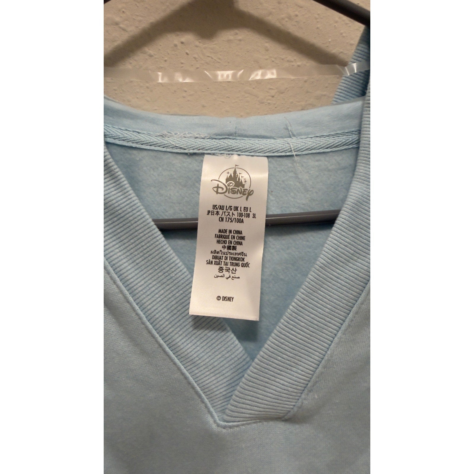 Walt Disney World Cinderella Castle V-Neck Pullover Hoodie NWT Large