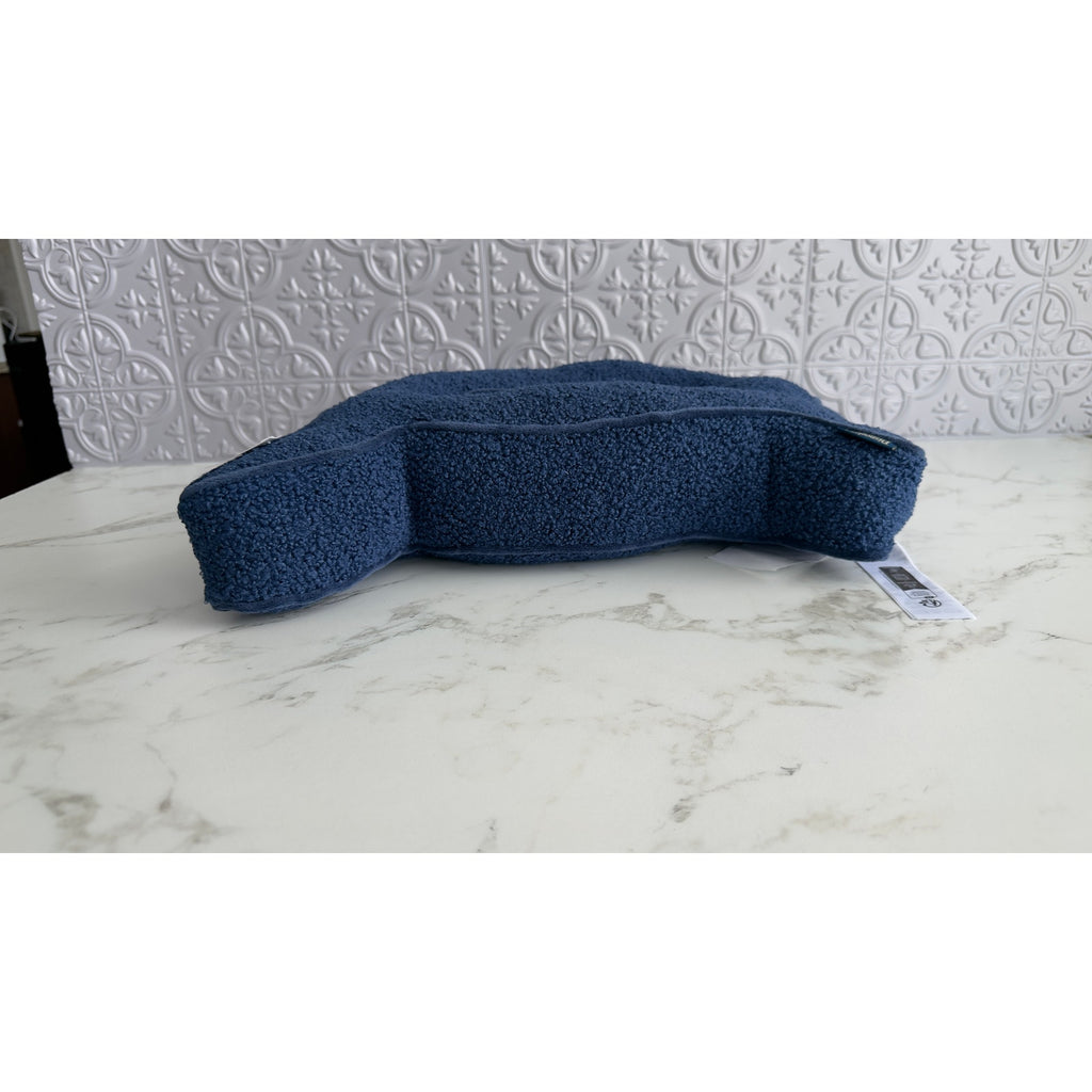 Disneyland 70th Anniversary Vault Collection Blue Sherpa "D" Letter Pillow NEW