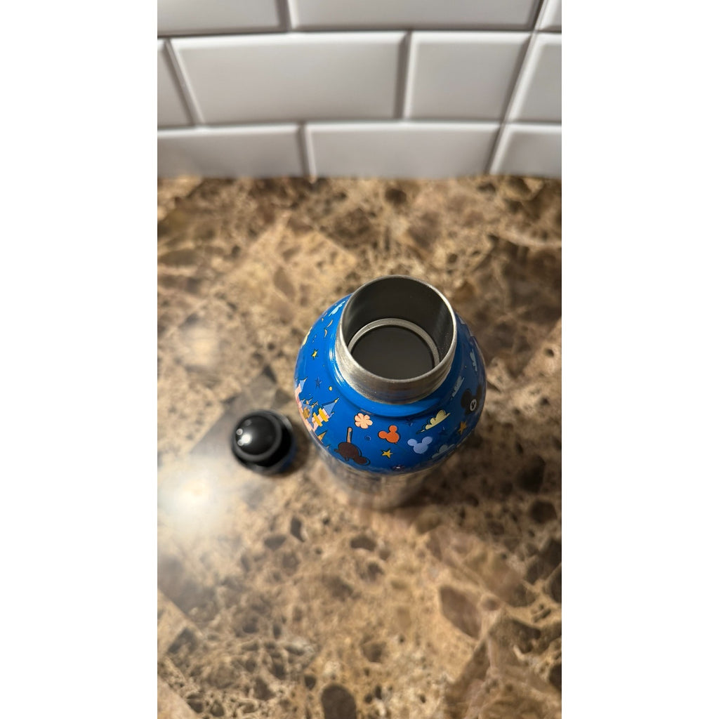 Disney Parks Icons & Attractions Stainless Steel Water Bottle - Blue Ombre NWT