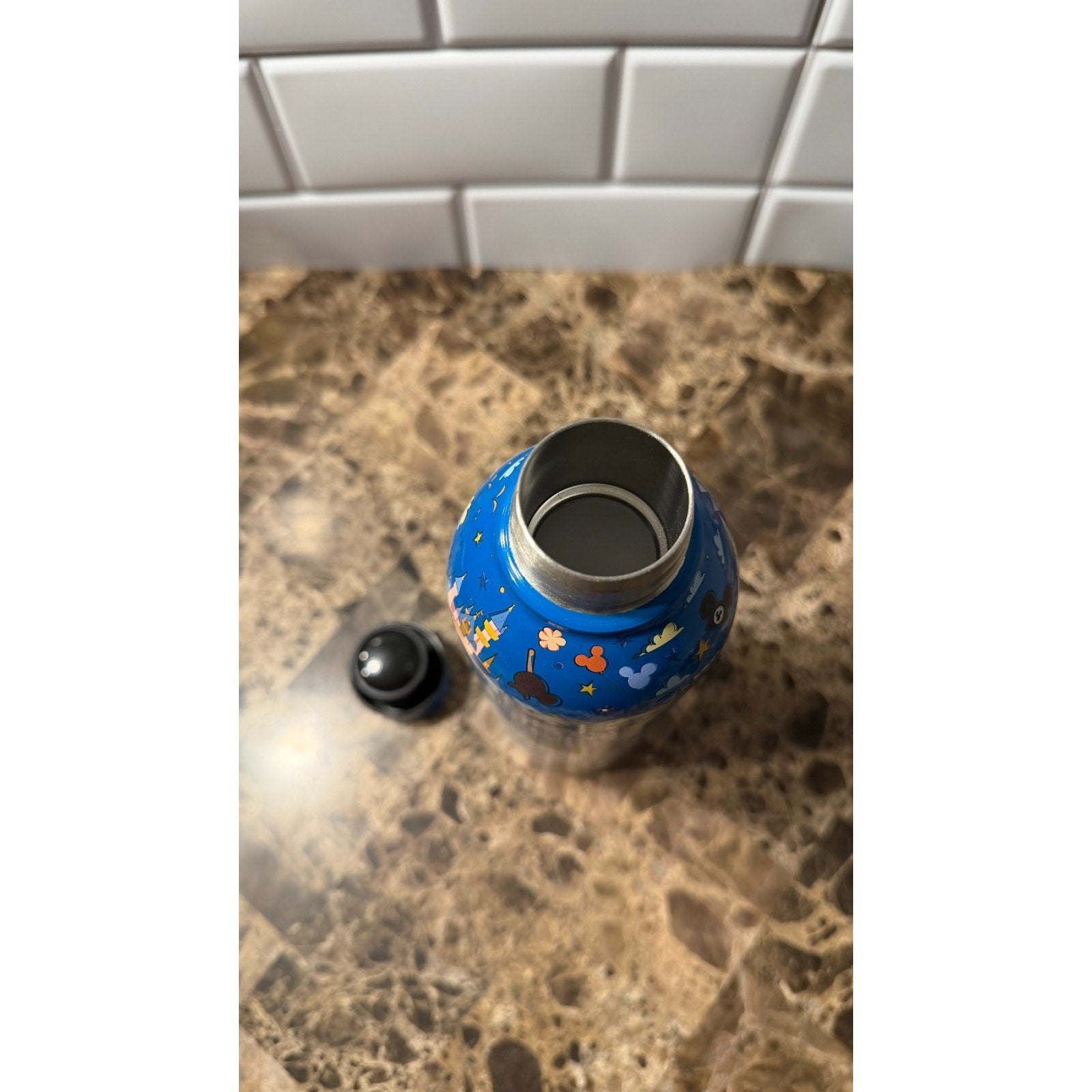Disney Parks Icons & Attractions Stainless Steel Water Bottle - Blue Ombre NWT