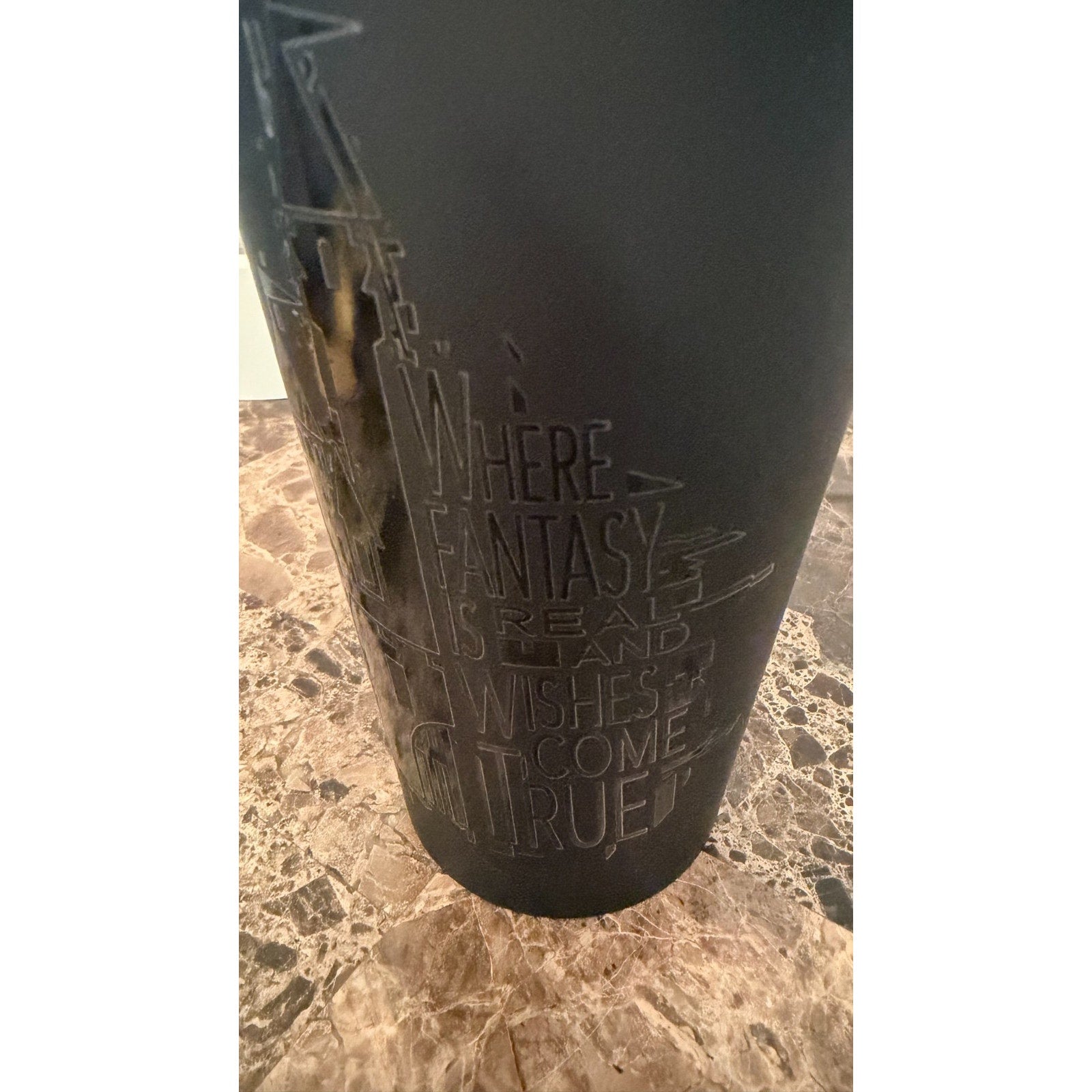 Disney Parks Fantasyland Castle Matte Black Tumbler - NEW