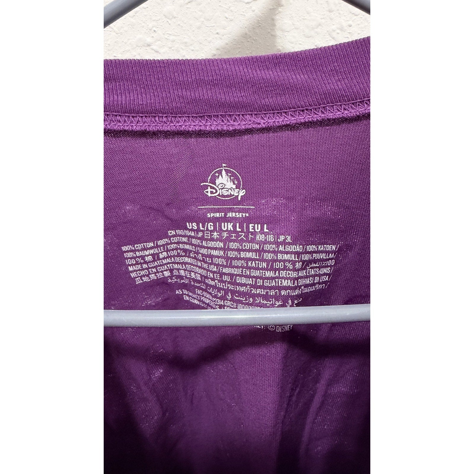 Disney 2024 Epcot Food and Wine Festival Chef Mickey Spirit Jersey Large NWT