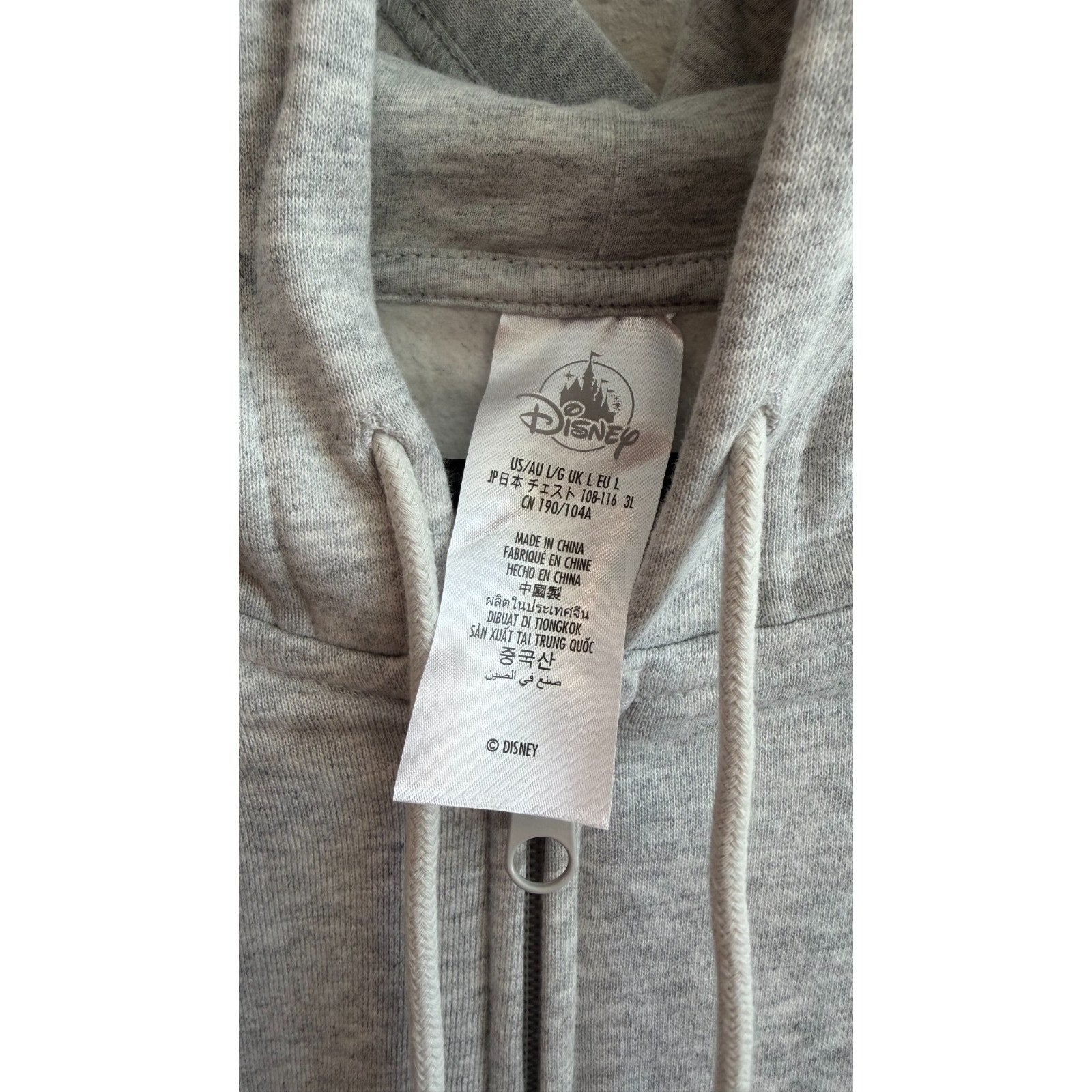 Disney Parks Walt Disney World Icons Four Parks Full Zip Hoodie Large NWT