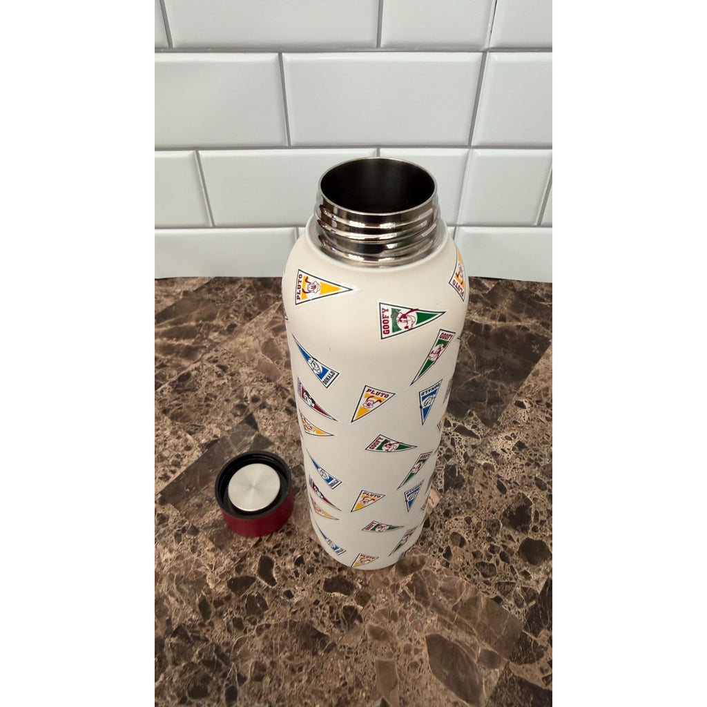 Disney Parks Mickey Mouse & Friends Pennant 21oz Water Bottle – NEW