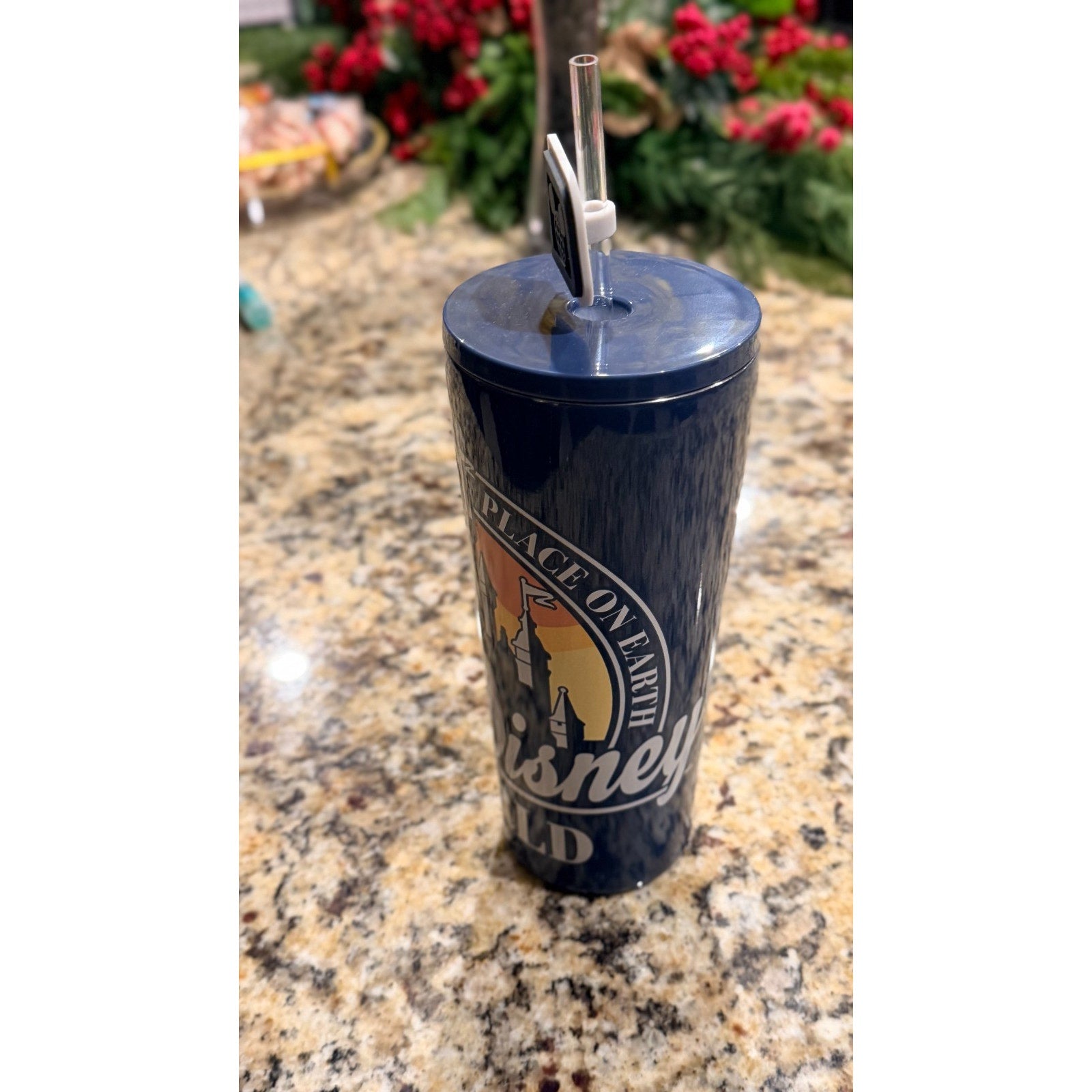 NEW Walt Disney World "Most Magical Place" 22oz Stainless Steel Tumbler