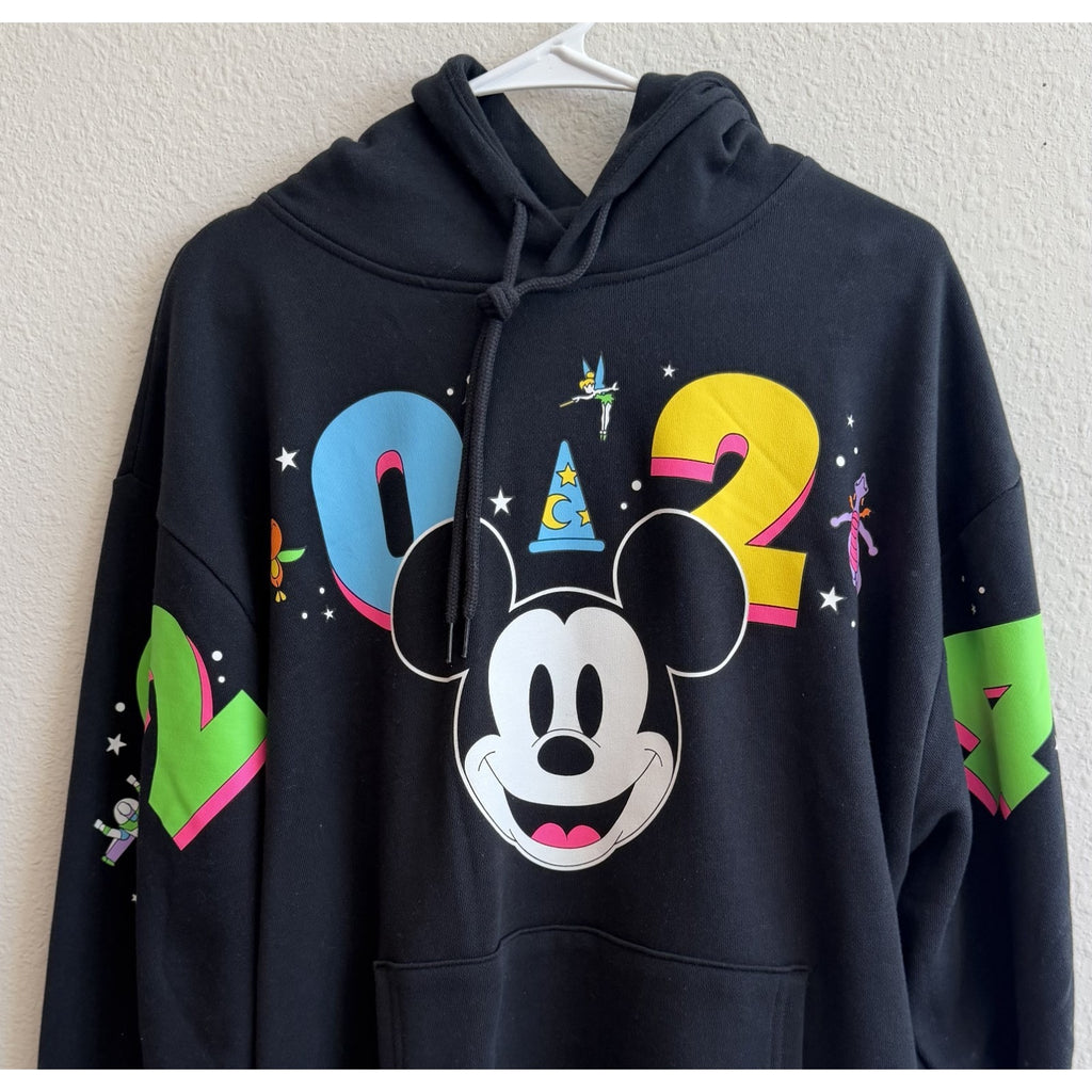 NWT Disney Parks Walt Disney World 2024 Pullover Hoodie Adults Unisex Large