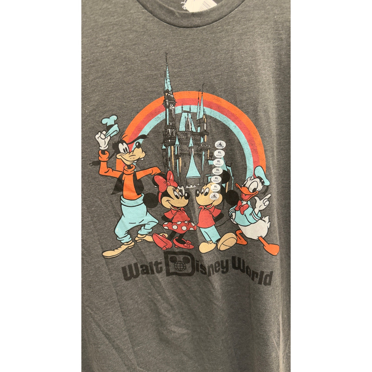 Disney Parks WDW Mickey & Friends Rainbow Cinderella Castle Tee Charcoal XL NWT