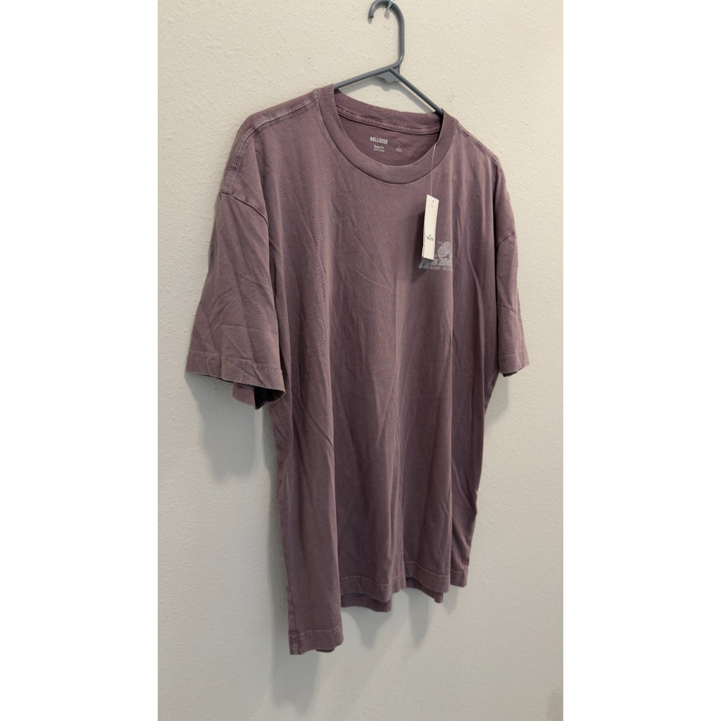 NWT Hollister Max Melody's Boxy Fit Graphic Tee Men’s Large