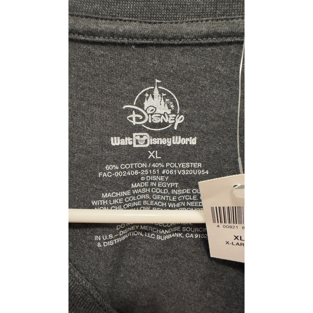 Disney Parks WDW Mickey & Friends Rainbow Cinderella Castle Tee Charcoal XL NWT
