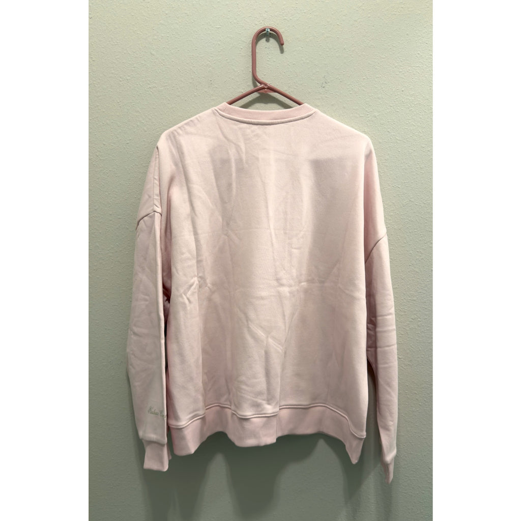 Disney Parks Pink Princess Icons Embroidered Sweatshirt Crewneck Adult Large NWT