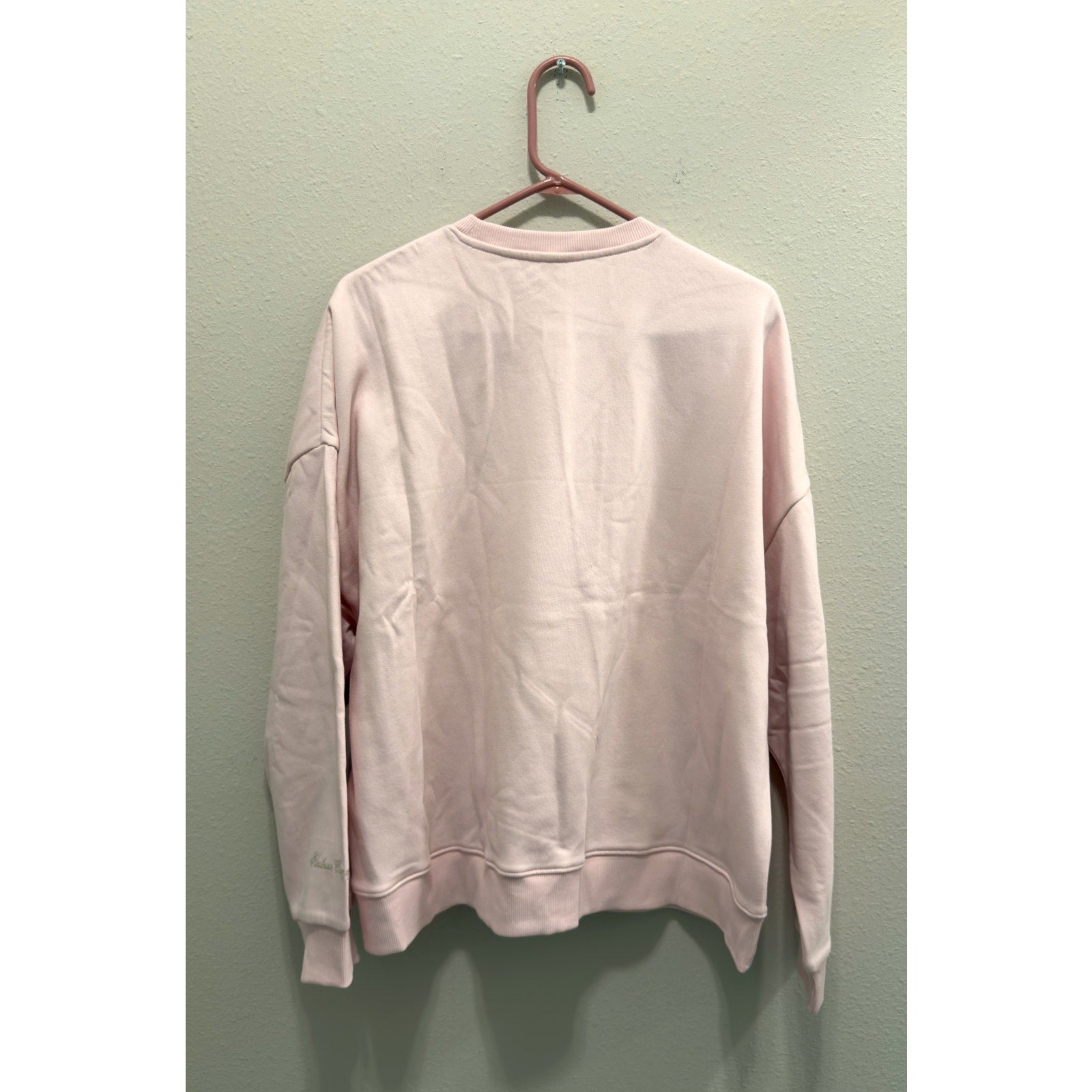 Disney Parks Pink Princess Icons Embroidered Sweatshirt Crewneck Adult Large NWT