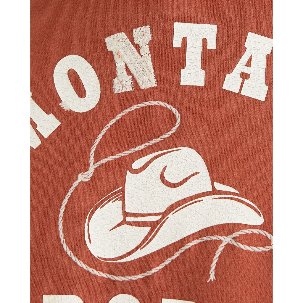 Abercrombie & Fitch Montana Rodeo Graphic Popover Hoodie – Men's Large NWT