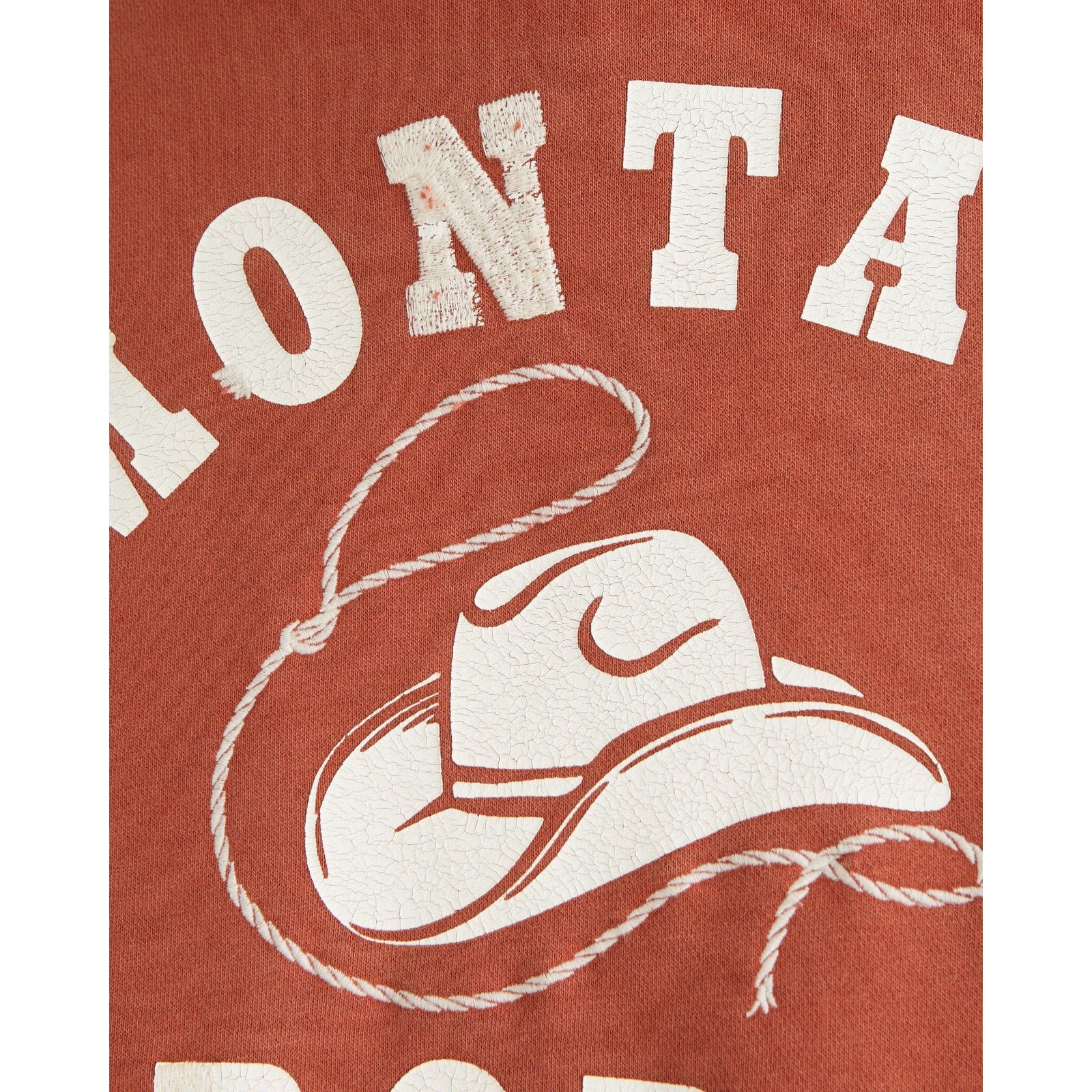 Abercrombie & Fitch Montana Rodeo Graphic Popover Hoodie – Men's Large NWT