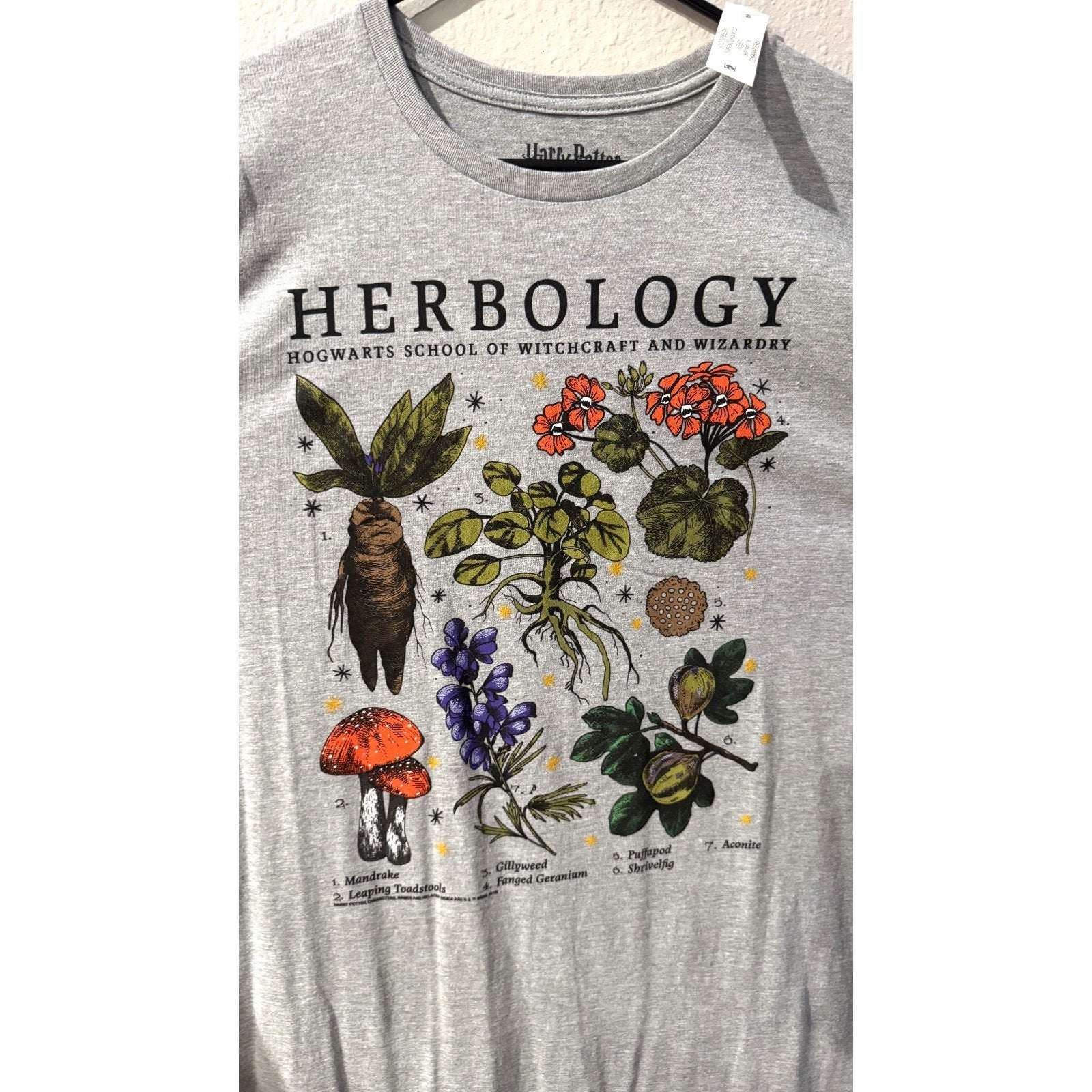 Harry Potter Hogwarts Herbology T-Shirt Mens XL Gray Graphic Tee NWT