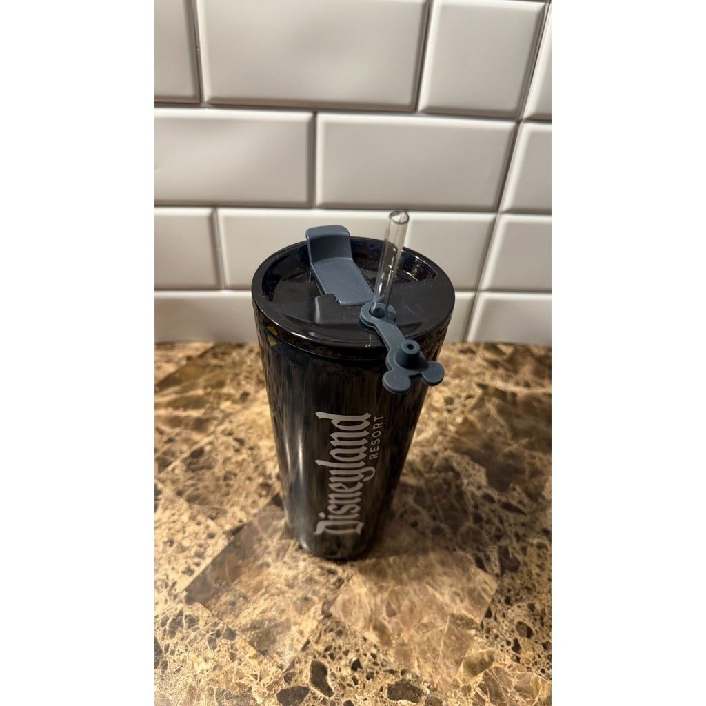 2025 Disneyland "Authentic Original" Stainless Steel Water Bottle - NEW