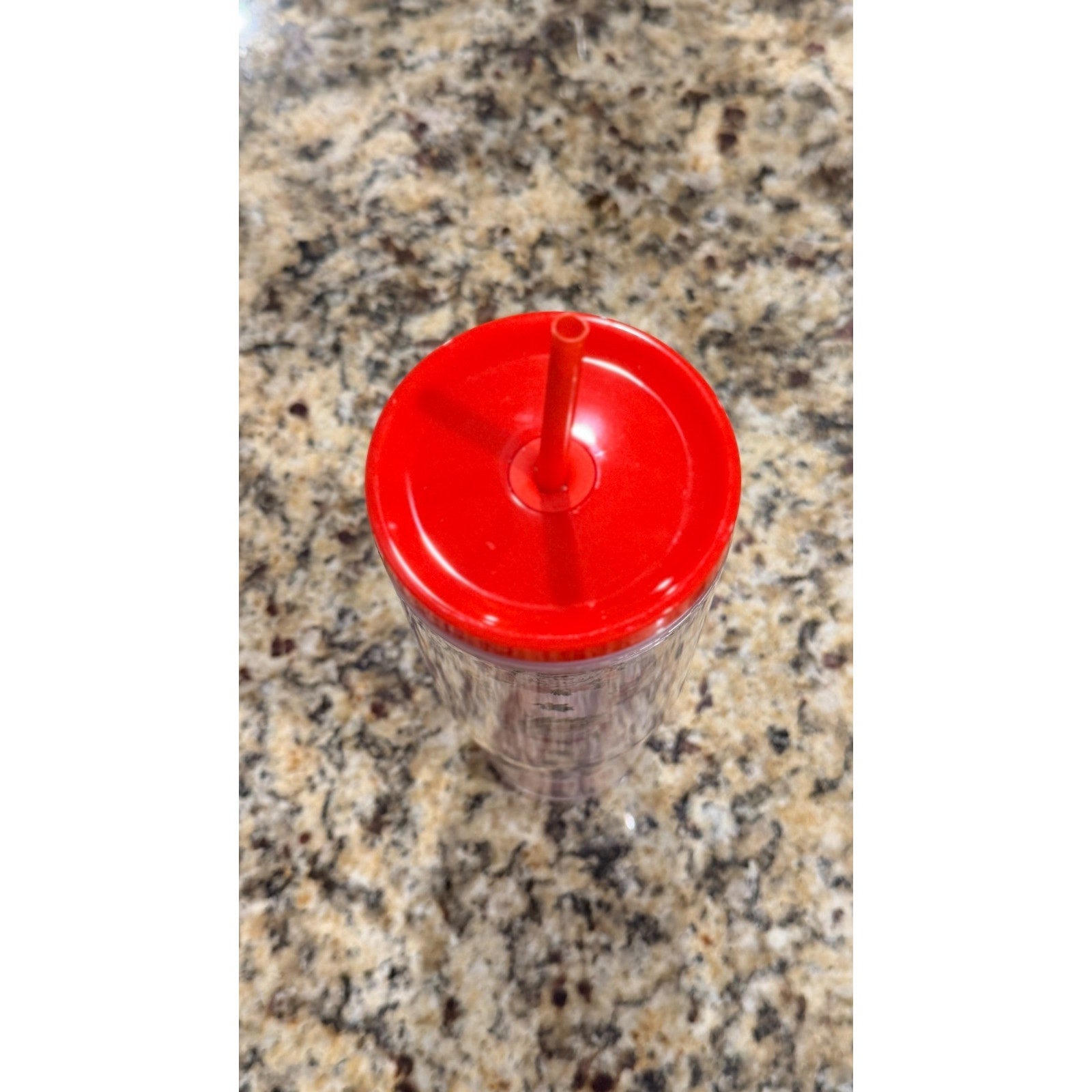 NWT Simply Belle "Floral Santa" Christmas Plastic Tumbler — 24 oz