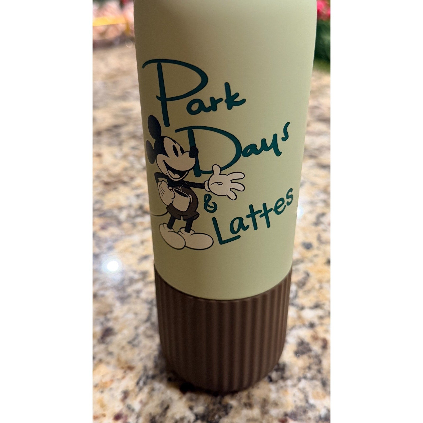 NEW 2026 Disney x Starbucks "Park Days & Lattes" Travel Tumbler