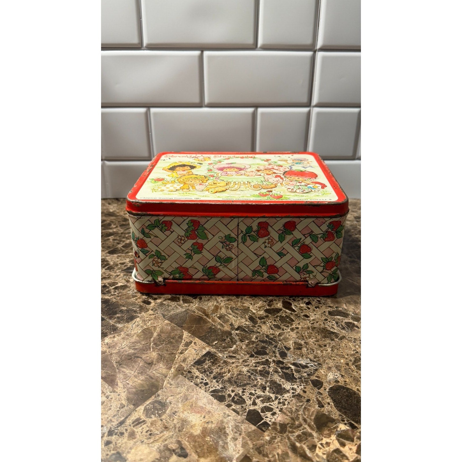 Vintage 1981 Strawberry Shortcake Metal Lunch Box & Thermos Set