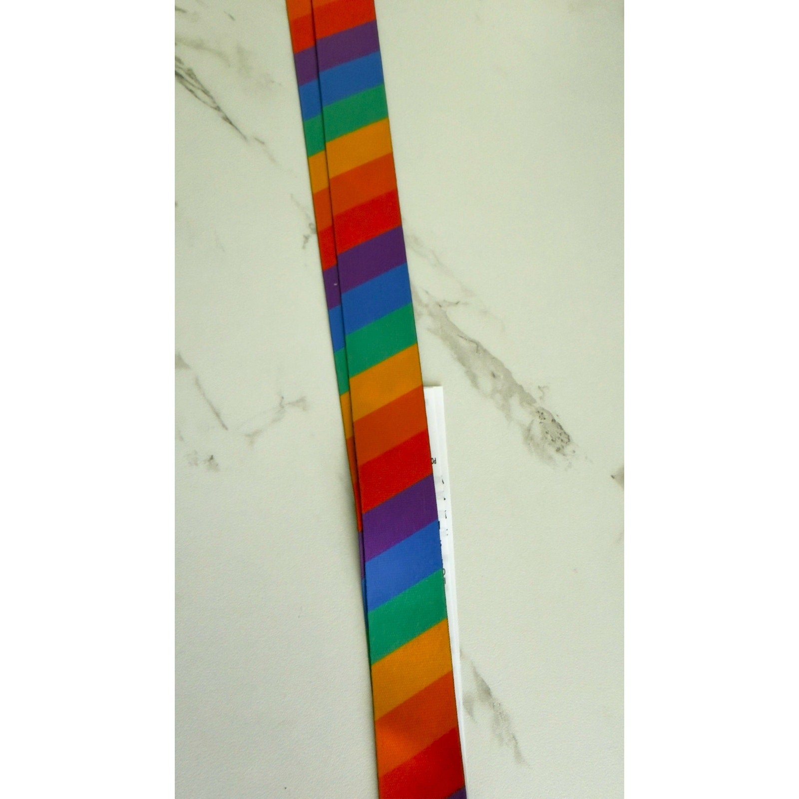 Disney Parks Pride Collection Reversible Pin Trading Lanyard Rainbow Mickey NWT