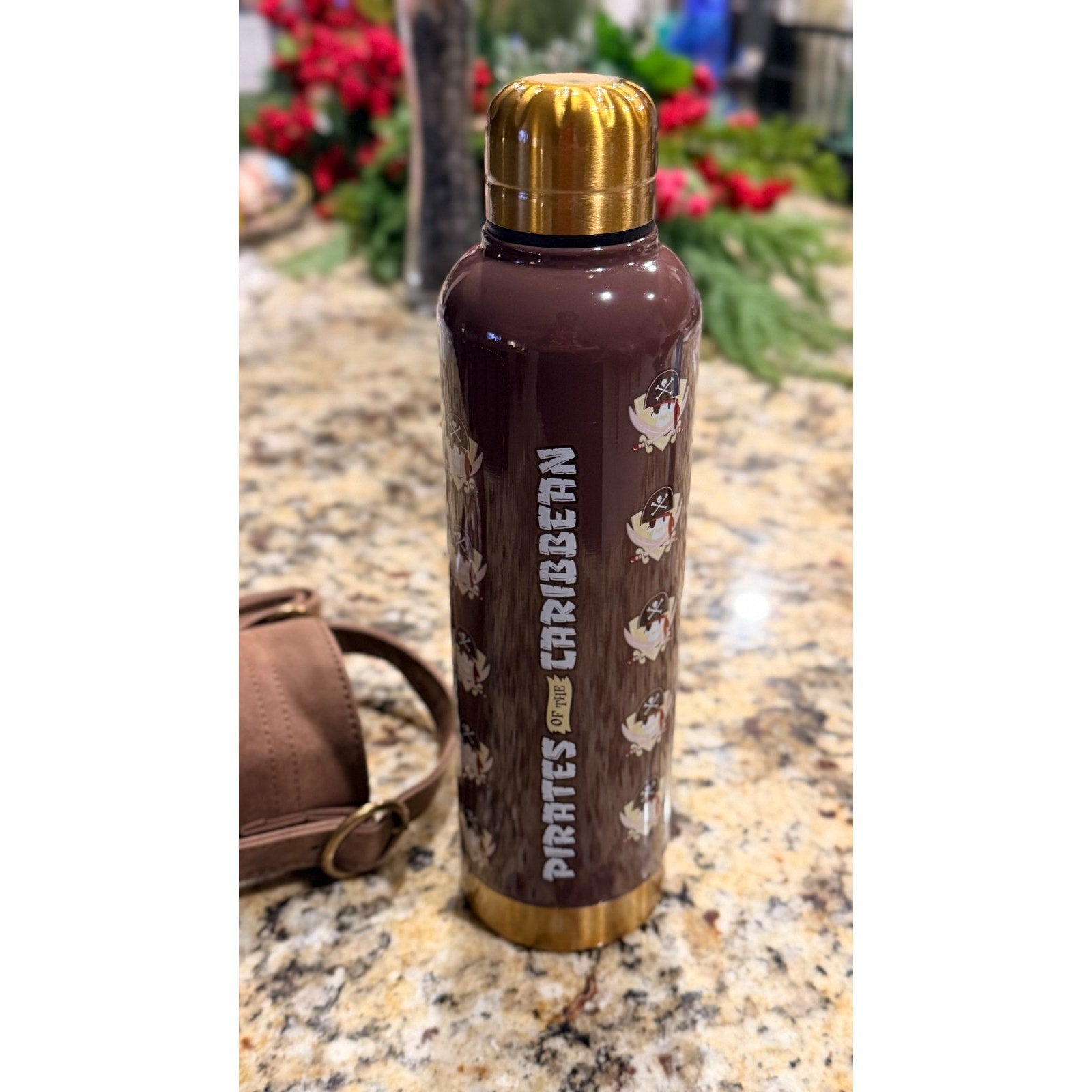 NEW Disney Parks Pirates of the Caribbean Stainless Steel Bottle & Carrier