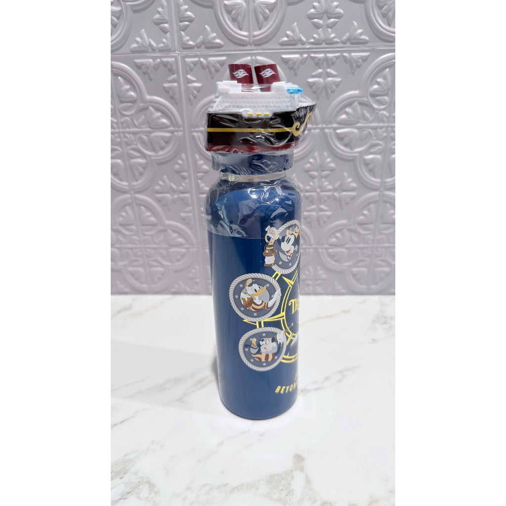 Disney Treasure Cruise Line Mickey & Friends Stainless Water Bottle 19 oz NEW