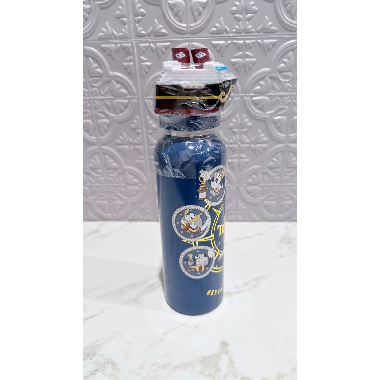 Disney Treasure Cruise Line Mickey & Friends Stainless Water Bottle 19 oz NEW