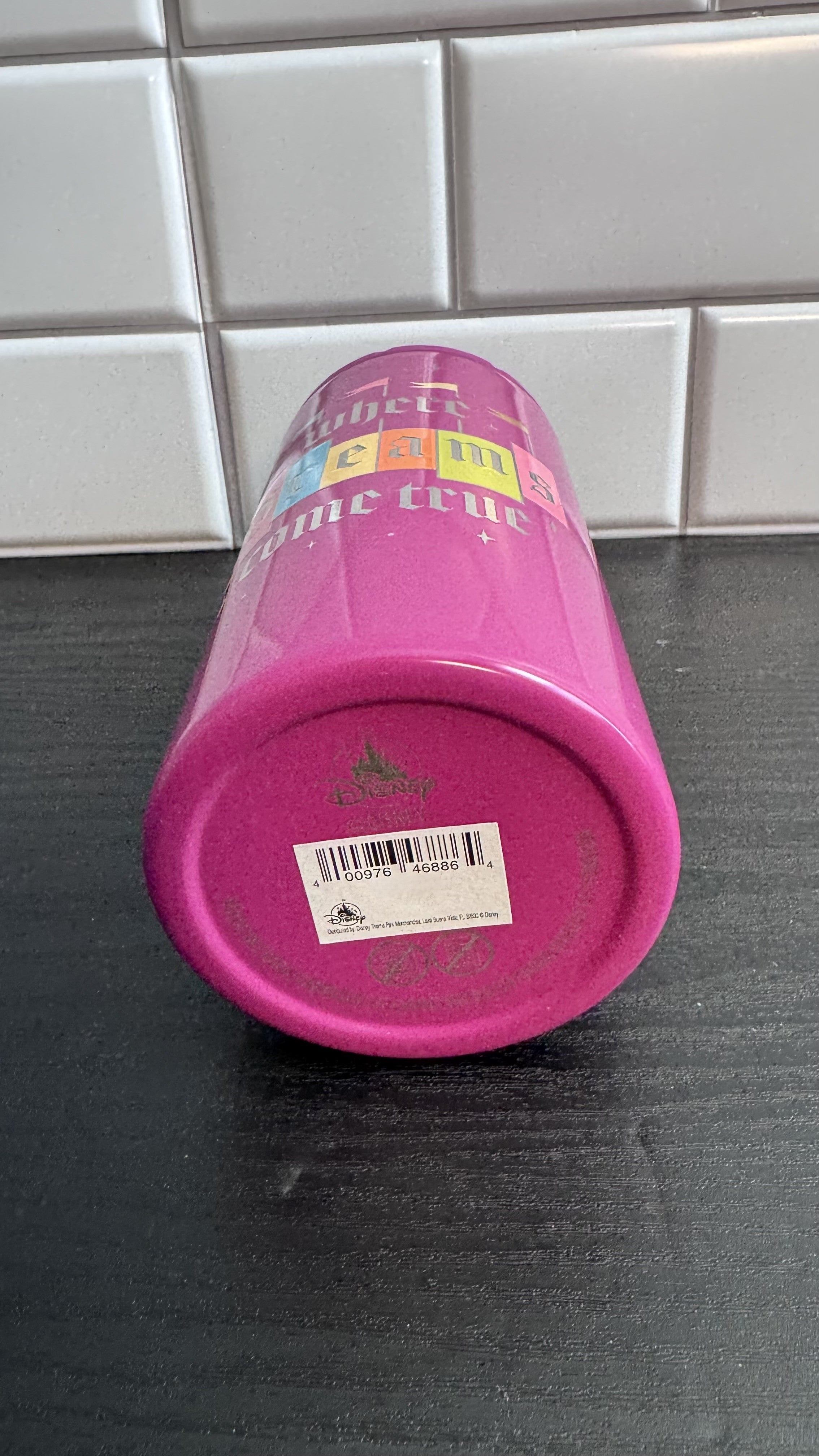 Disney Parks "Where Dreams Come True" Slim Can Insulated Coozie NEW