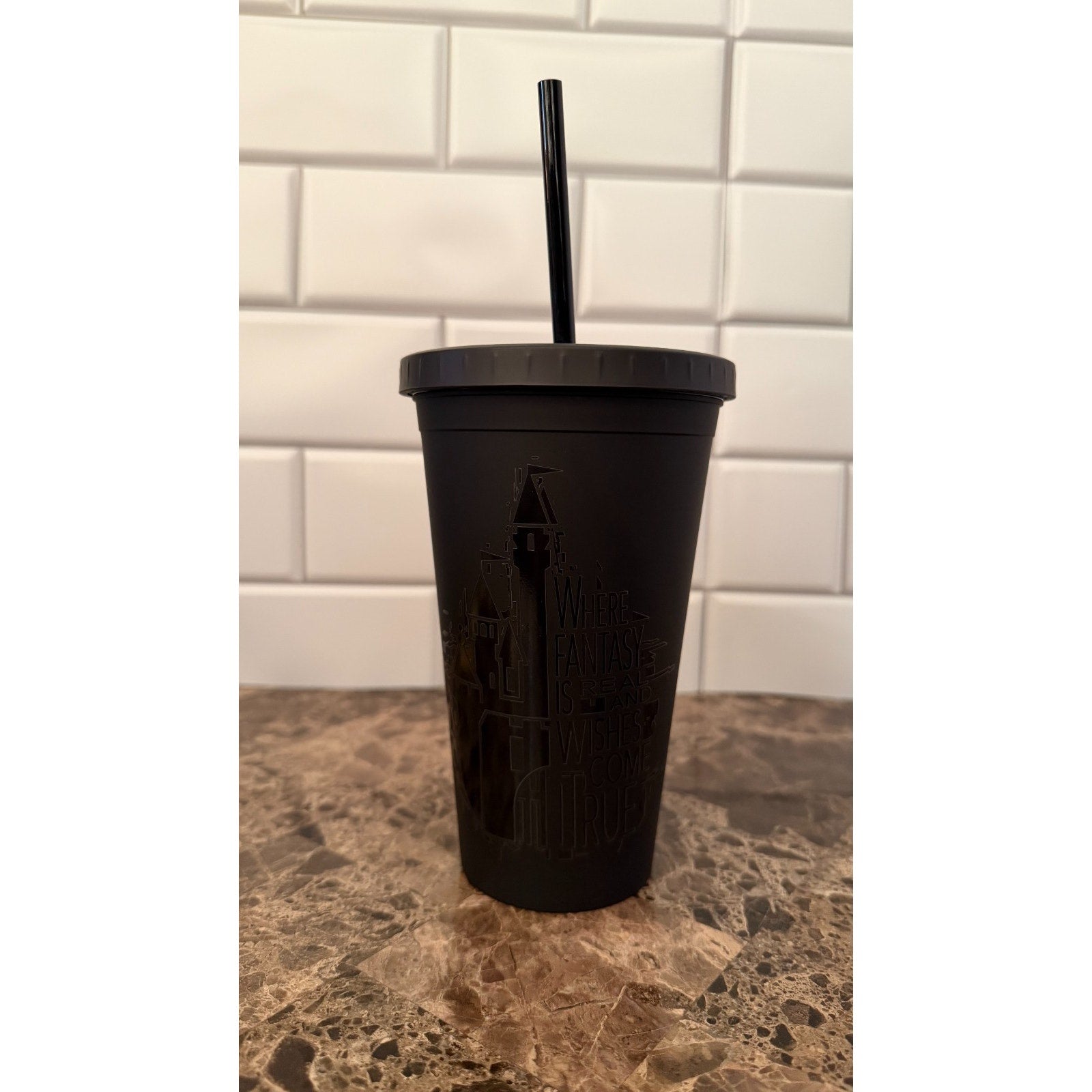 Disney Parks Fantasyland Castle Matte Black Tumbler - NEW
