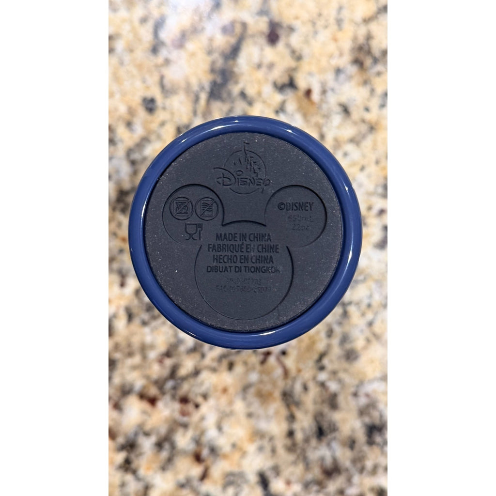 NEW Walt Disney World "Most Magical Place" 22oz Stainless Steel Tumbler