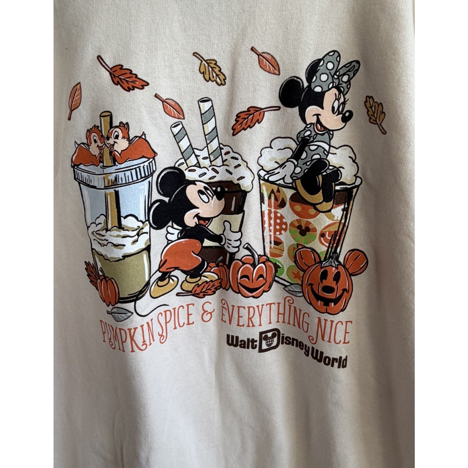 NEW 2025 Disney Parks Halloween Pumpkin Spice & Everything Nice Sweatshirt Large