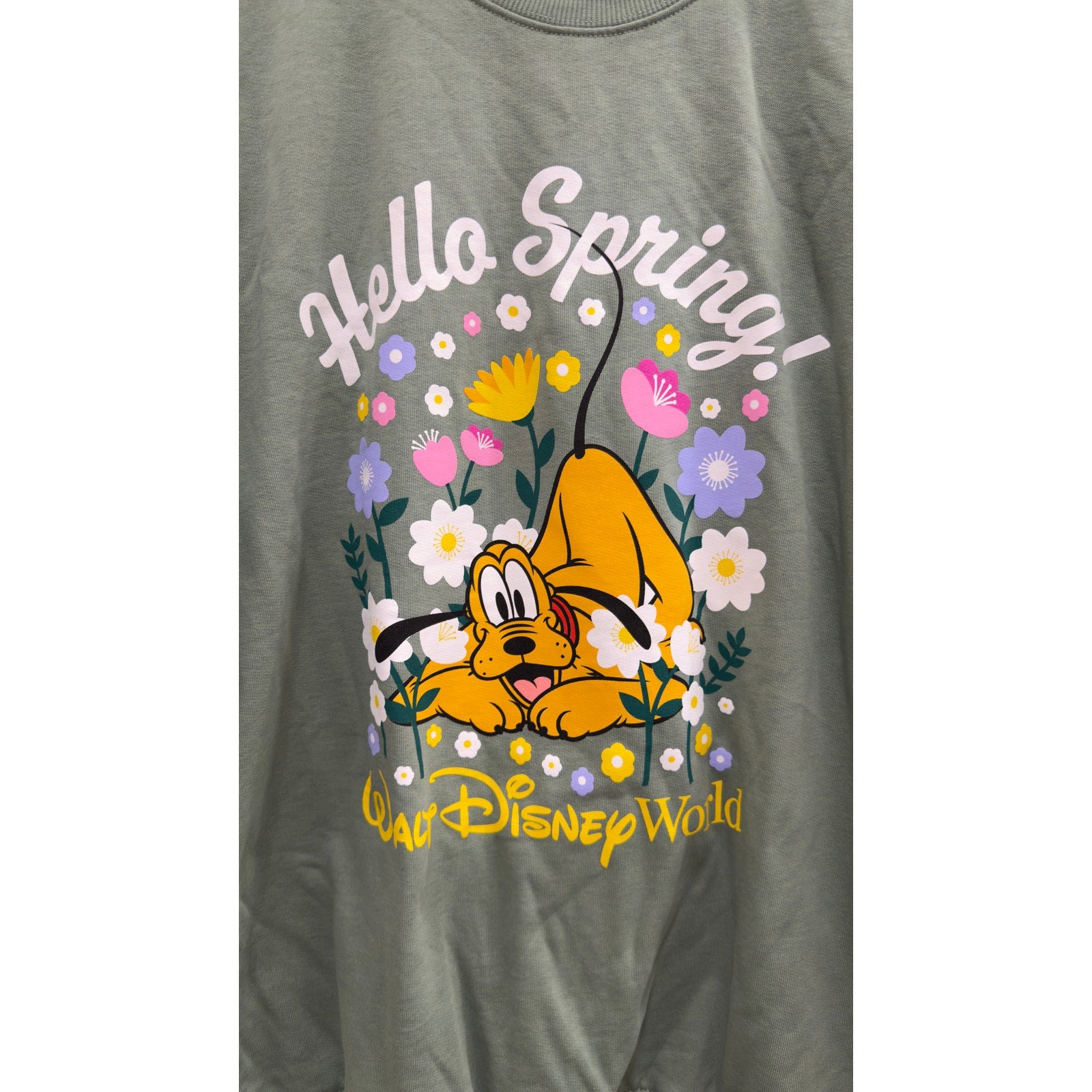 Walt Disney World "Hello Spring!" Pluto Crewneck Sweatshirt NWT Large
