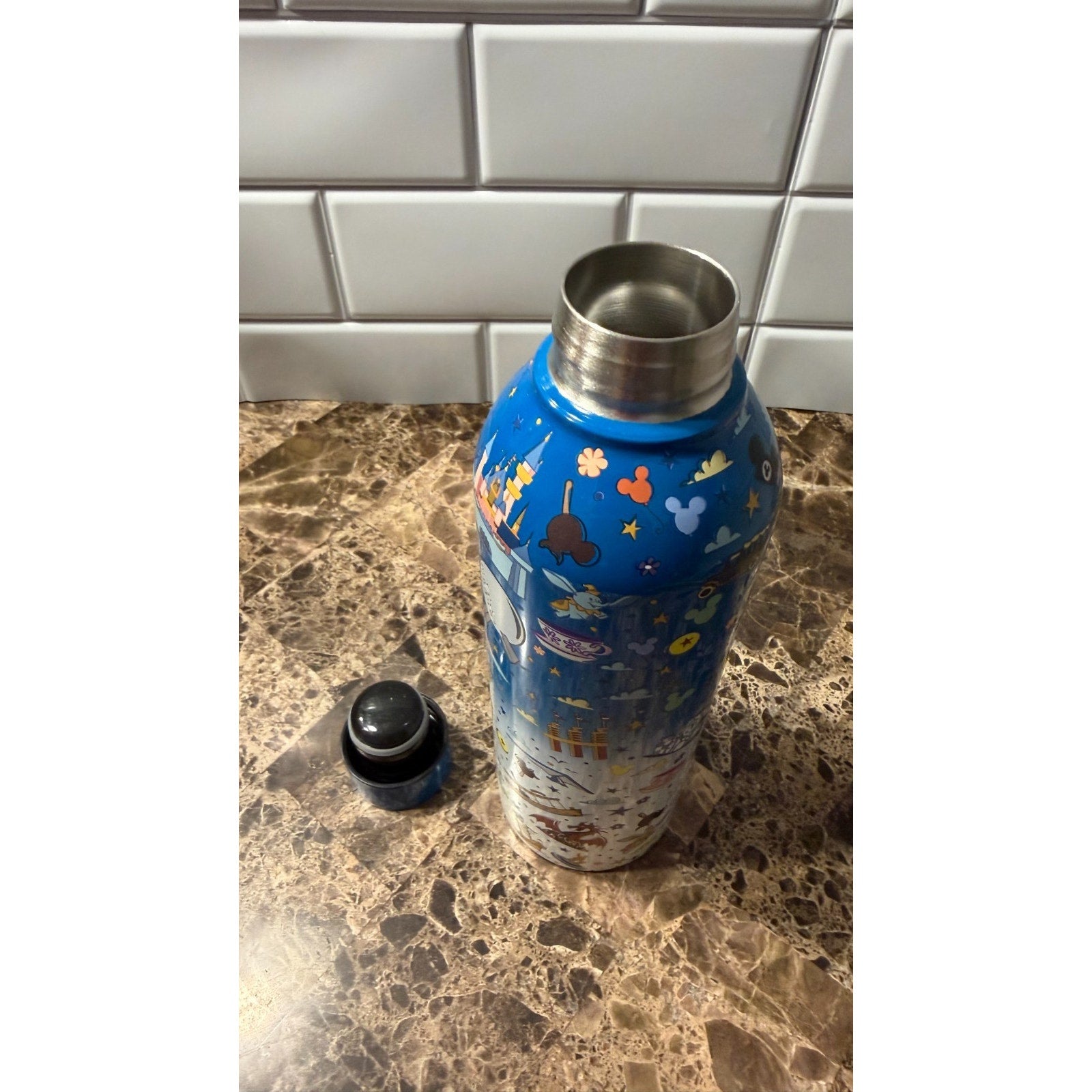 Disney Parks Icons & Attractions Stainless Steel Water Bottle - Blue Ombre NWT